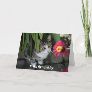 Persoonlijke condoleancekaart voor katten Herdenki Kaart