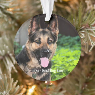 Persoonlijke Duitse Shepherd Dog Foto, naam van ho Ornament