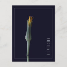 Persoonlijke Eenvoudige Elegante Bloemen Beterscha