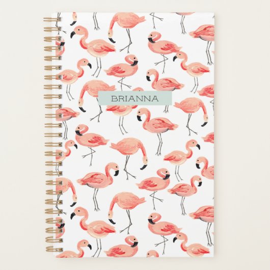 Persoonlijke Flamingo Party Planner (Voorkant)