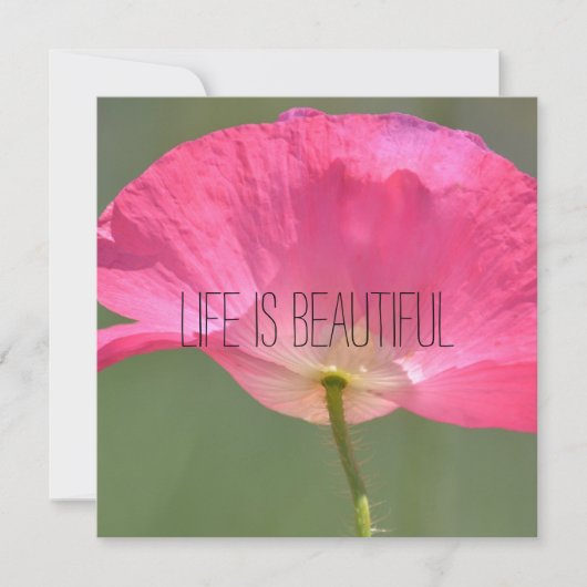 Persoonlijke foto (Voorkant)