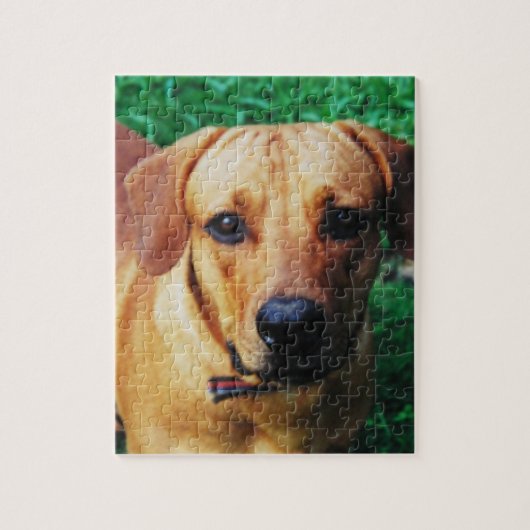 Persoonlijke foto aangepaste hond puzzel (Verticaal)
