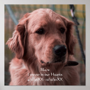 Persoonlijke foto Gedenkteken foto aanpassen Poster