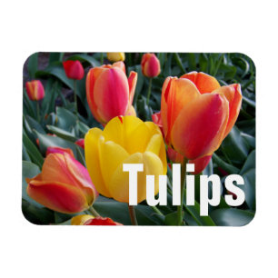 Persoonlijke foto magneet