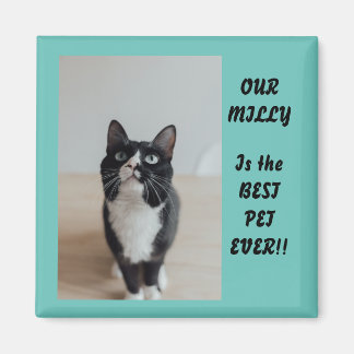 Persoonlijke foto Magnet Best Pet Ever Magneet