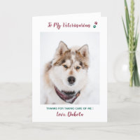 Persoonlijke foto van de dierenarts Pet Care Pet