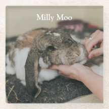 Persoonlijke foto van Pet