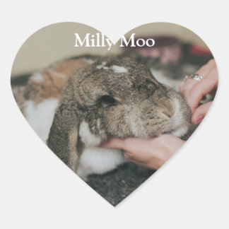 Persoonlijke foto van Pet Hart Sticker