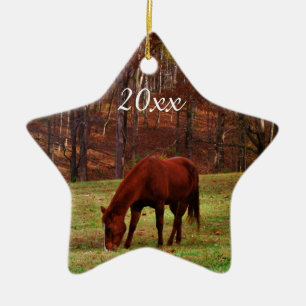 Persoonlijke foto van Pet of Paarden Kerstmis Keramisch Ornament