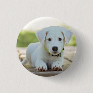 Persoonlijke foto van Pet  Ronde Button 3,2 Cm