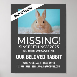 Persoonlijke foto, vermiste, verloren huisdier poster
