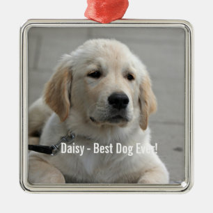 Persoonlijke Golden Retriever Dog Foto en naam Metalen Ornament