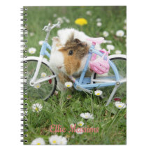 Persoonlijke / grappige cavia foto