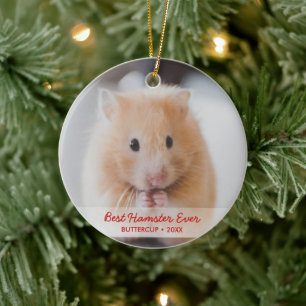 Persoonlijke Hamster Pet Foto & Name Kerstmis Keramisch Ornament
