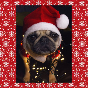 Persoonlijke handtekening Kerstmis Pug-hond Feestdagen Kaart