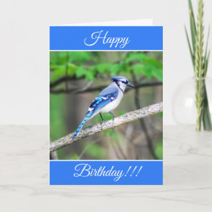 Persoonlijke Happy Birthday Blue Jay Card Kaart