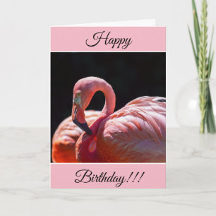 Persoonlijke Happy Birthday Flamingo Card Kaart