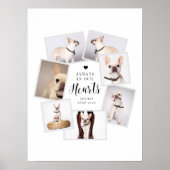 Persoonlijke herdenking huisdier met collage van m poster (Voorkant)