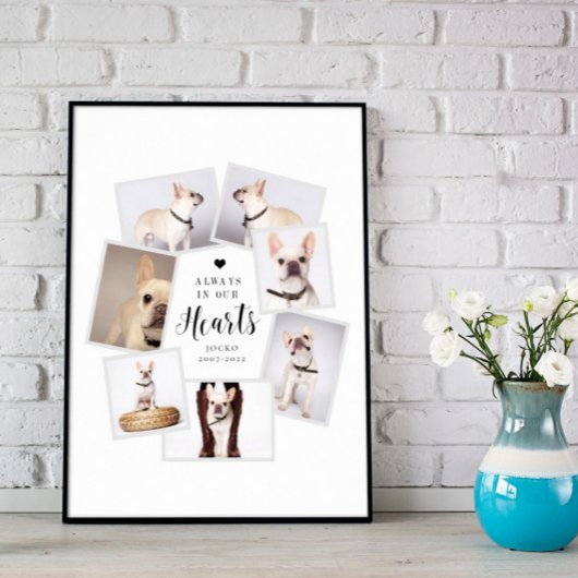 Persoonlijke herdenking huisdier met collage van m poster