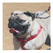 Persoonlijke hond Memorial Kubus (Rechts)