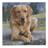 Persoonlijke hond Memorial Kubus (Rechts)