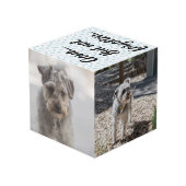 Persoonlijke hond Memorial Kubus (Achter hoekig)