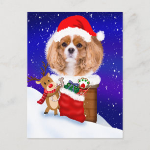 Persoonlijke hond Santa Dakrand rendieren met cade Briefkaart