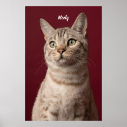 Persoonlijke honden- en kattennaam-fotoafdrukken, poster