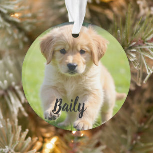 Persoonlijke hondenfoto-ornament Gepersonaliseerd Ornament