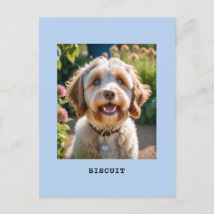Persoonlijke huisdier hond kat foto naam lichtblau briefkaart