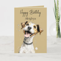 Persoonlijke Jack Russell