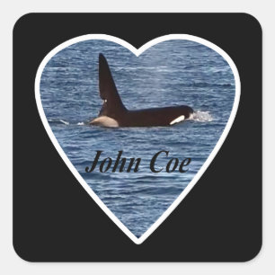 Persoonlijke John Coe Orka Moordwalvis Vierkante Sticker