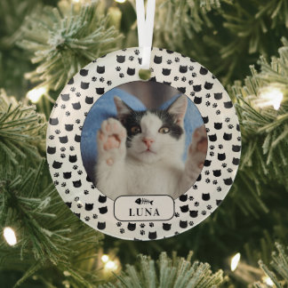 Persoonlijke kat & pootafdruk huisdier foto glas ornament