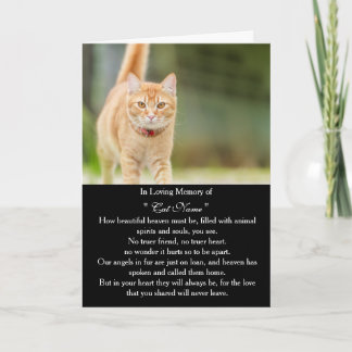 Persoonlijke kat sympathiekaart met foto - huisdie kaart