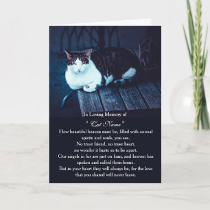 Persoonlijke kat sympathiekaart met foto - huisdie kaart