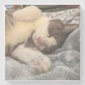 Persoonlijke kattenfoto cadeau voor huisdierenlief stenen onderzetter