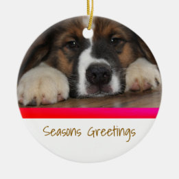 Persoonlijke kerstboomornament voor huisdieren keramisch ornament