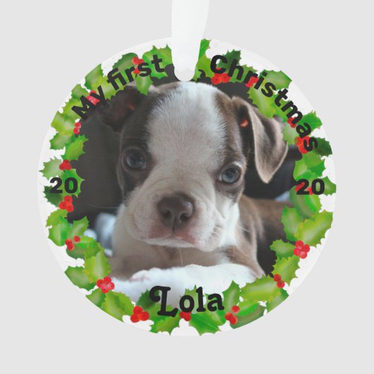 Persoonlijke kerstfoto van Puppy Ornament (voorkant)