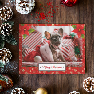 Persoonlijke kerstfoto's Feestdagen Briefkaart