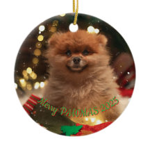 Persoonlijke Kerstversiering voor Honden – Aangepa