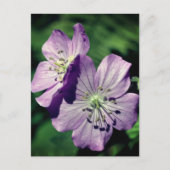 Persoonlijke Lavendel Geranium Bloemen Briefkaart (Voorkant)