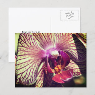 Persoonlijke mooie orchidee bloem briefkaart