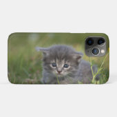 Persoonlijke Mopige Kitten Case-Mate iPhone Case (Achterkant (horizontaal))