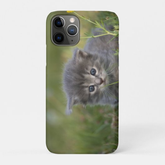 Persoonlijke Mopige Kitten Case-Mate iPhone Case (Achterkant)