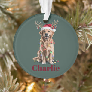 Persoonlijke naam kerst goud retriever hond ornament