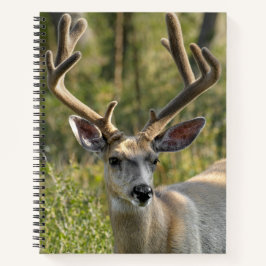 Persoonlijke naam Mule Deer Spiral Notitieboek