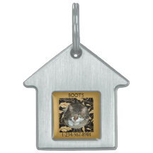 Persoonlijke nep-goudblad op zwarte kat