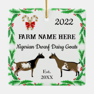 Persoonlijke Nigeriaanse Dwarf Dairy Goat Kerstmis Keramisch Ornament