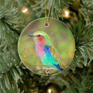 Persoonlijke op maat gemaakte multikleurige vogel  keramisch ornament