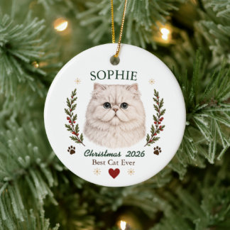 Persoonlijke Perzische Kat Kerstmis Keramisch Ornament